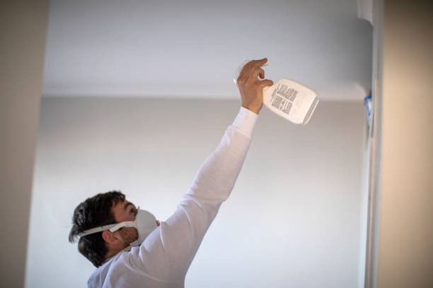 Best Same-Day Mold Removal  in Romoland, CA