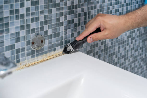 Best Mold Removal Specialists  in Romoland, CA
