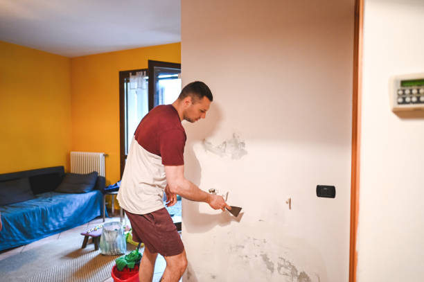 Home Mold Removal in Romoland, CA